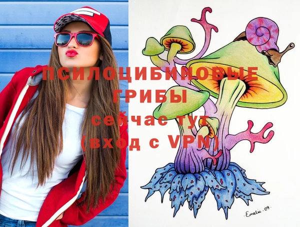 марки lsd Гусь-Хрустальный