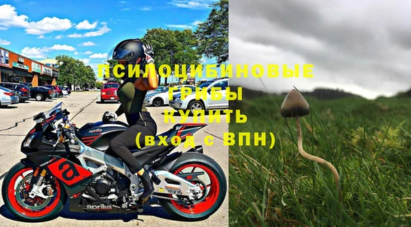 мескалин Гусиноозёрск